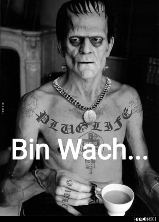 Bin Wach... - Lustige Bilder | DEBESTE.de
