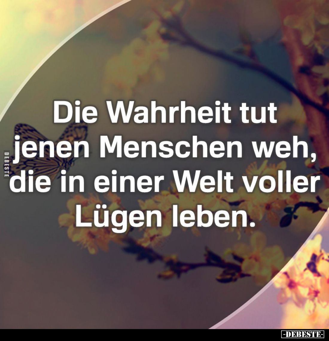 Die Wahrheit tut jenen Menschen weh, die in einer Welt voller Lügen leben.