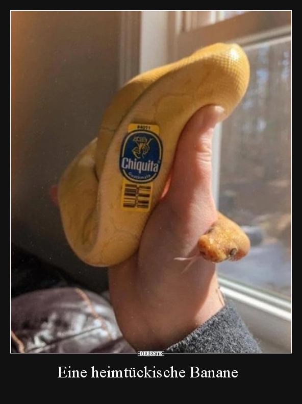 Eine heimtückische Banane.. | Lustige Bilder, Sprüche, Witze, echt lustig