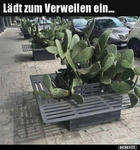 Lädt zum Verweilen ein...