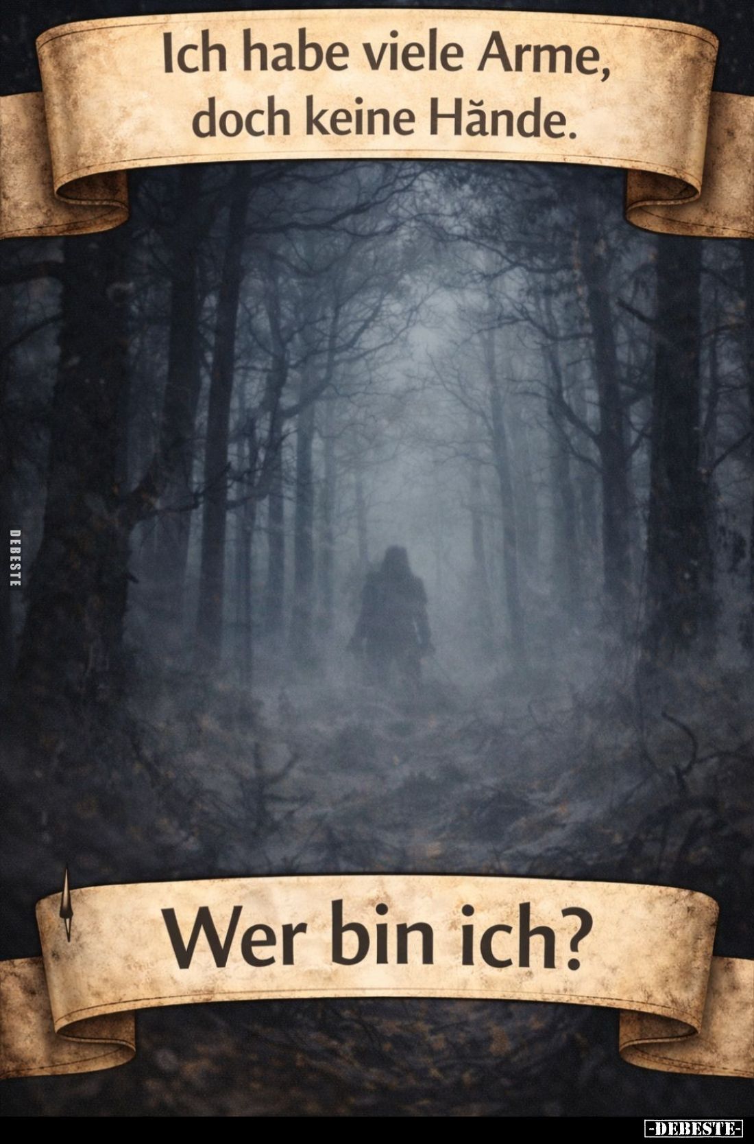 Ich habe viele Arme, doch keine Hände. -
Wer bin ich?