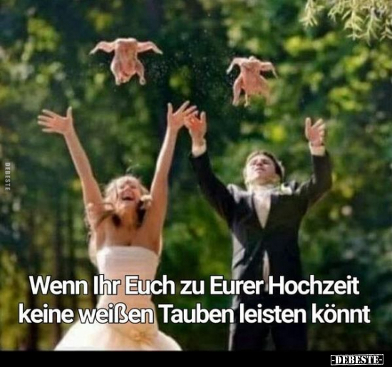 Wenn Ihr Euch zu Eurer Hochzeit keine weißen Tauben leisten könnt.. - Lustige Bilder | DEBESTE.de