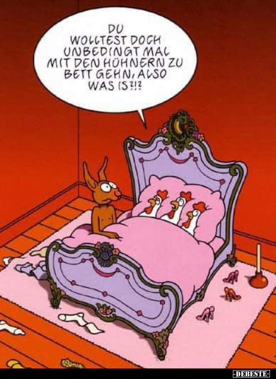 Du wolltest doch unbedingt mal mit den Hühnern zu Bett.. - Lustige Bilder | DEBESTE.de