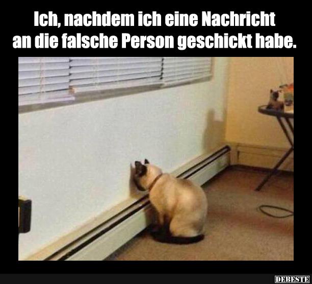 Ich, nachdem ich eine Nachricht an die falsche Person geschickt.. - Lustige Bilder | DEBESTE.de