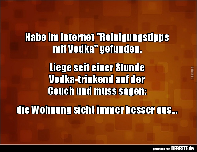 Habe im Internet "Reinigungstipps mit Vodka".. - Lustige Bilder | DEBESTE.de