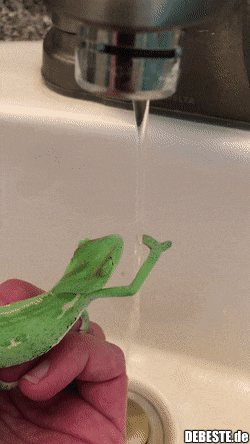  - Lustige Bilder | DEBESTE.de