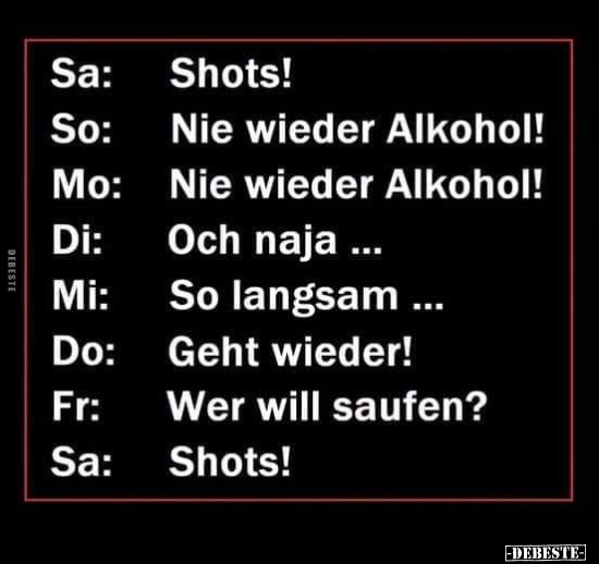 Sa: Shots! - So: Nie wieder Alkohol!.. - Lustige Bilder | DEBESTE.de