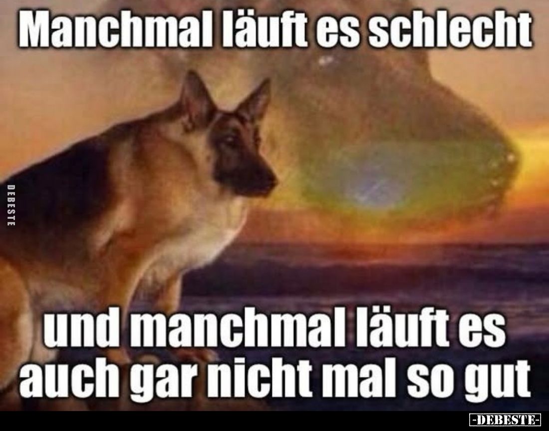 Manchmal läuft es schlecht und manchmal läuft es auch gar nicht mal so gut