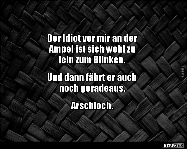 Der Idiot vor mir an der Ampel ist sich wohl zu fein zum.. - Lustige Bilder | DEBESTE.de