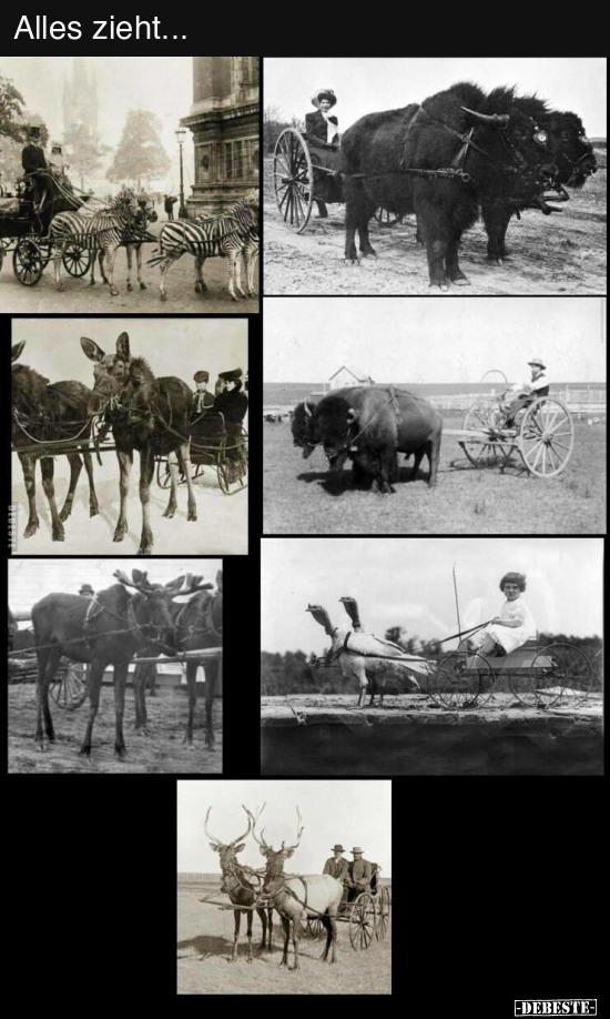 Alles zieht...