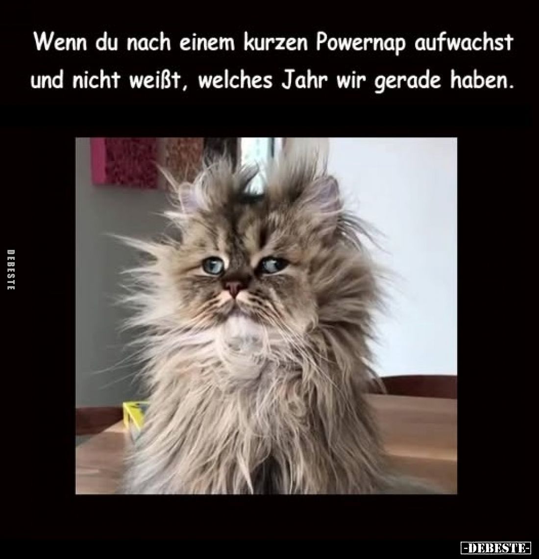 Wenn du nach einem kurzen Powernap aufwachst und nicht weißt, welches Jahr wir gerade haben.