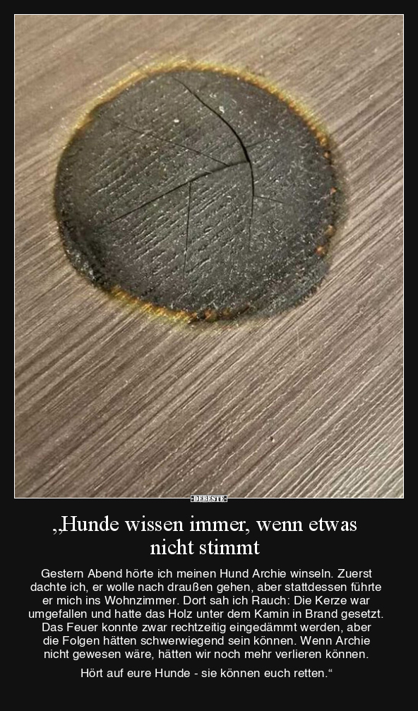 "Hunde wissen immer, wenn etwas nicht stimmt.." - Lustige Bilder | DEBESTE.de