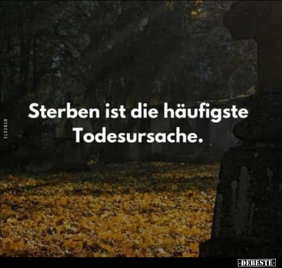 Sterben ist die häufigste Todesursache... - Lustige Bilder | DEBESTE.de