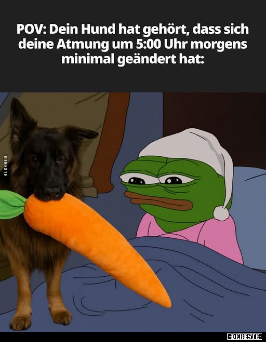 POV: Dein Hund hat gehört, dass sich deine Atmung um 5:00 Uhr morgens minimal geändert hat: