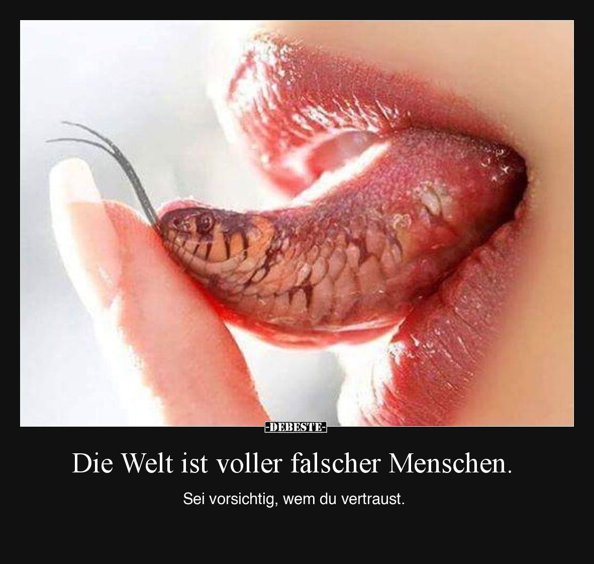 Die Welt ist voller falscher Menschen.  Sei vorsichtig, wem du vertraust.