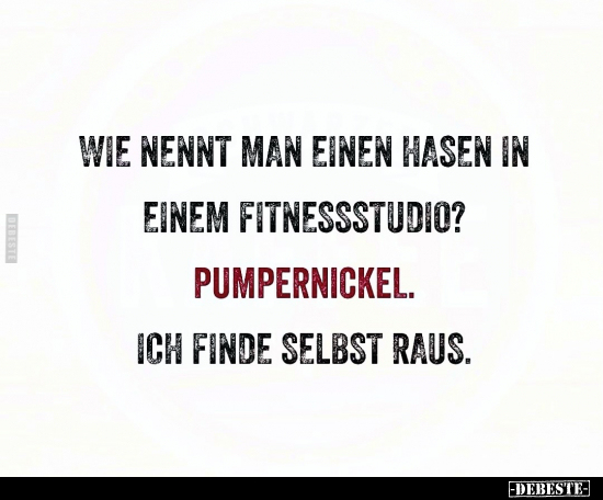 Wie nennt man einen Hasen im Fitnessstudio.. - Lustige Bilder | DEBESTE.de