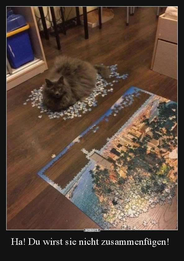 Ha! Du wirst sie nicht zusammenfügen!..