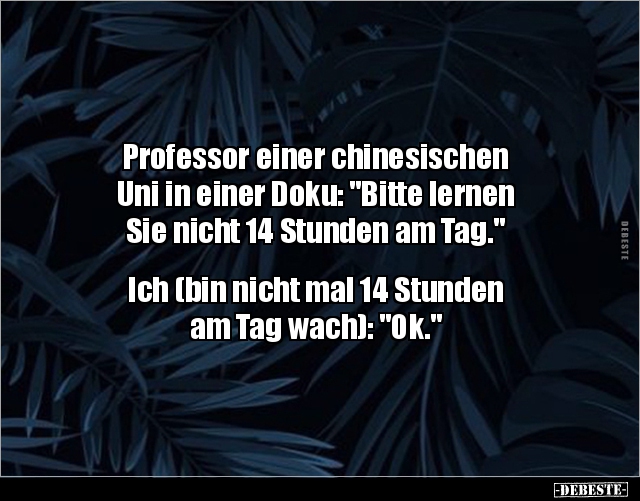 Professor einer chinesischen Uni in einer Doku.. - Lustige Bilder | DEBESTE.de