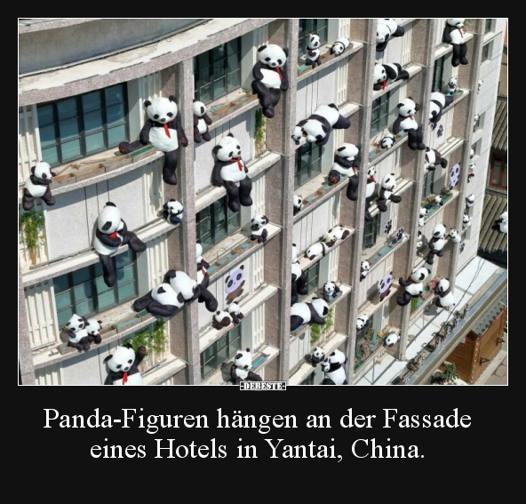 Panda-Figuren hängen an der Fassade eines Hotels.. - Lustige Bilder | DEBESTE.de