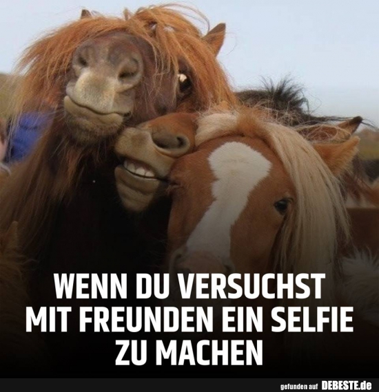 Wenn Du versuchst mit Freunden ein Selfie.. - Lustige Bilder | DEBESTE.de