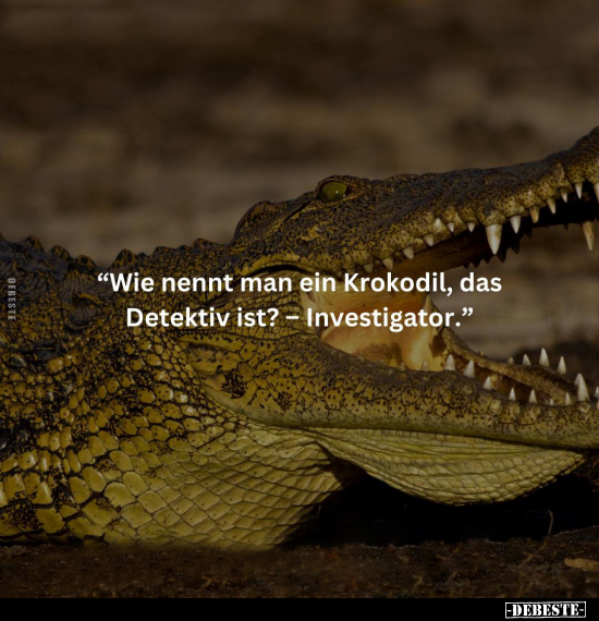 Krokodil, Detektiv