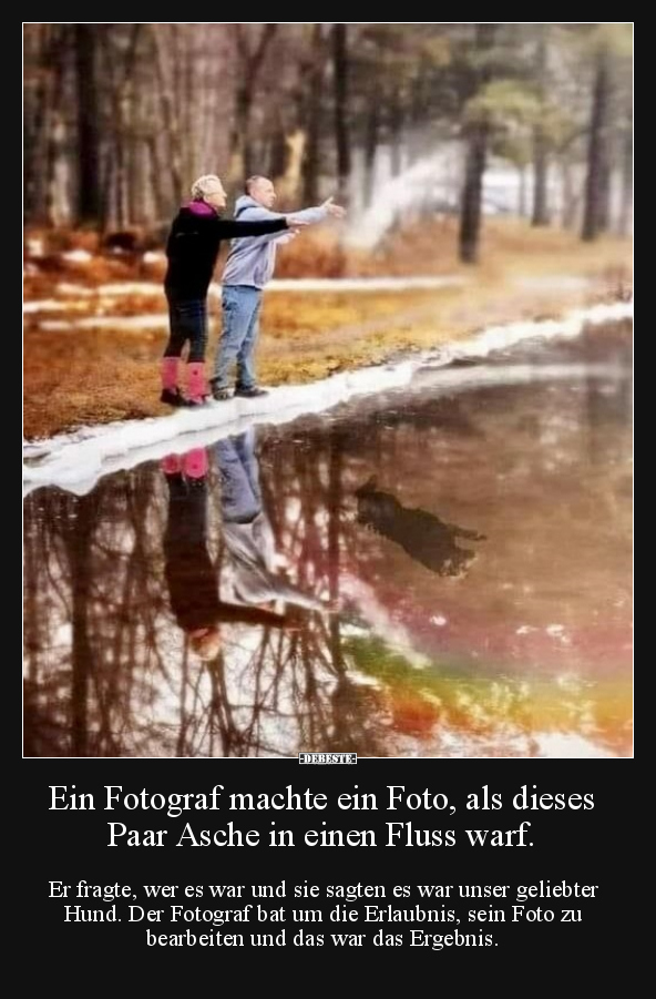 Ein Fotograf machte ein Foto, als dieses Paar Asche in.. - Lustige Bilder | DEBESTE.de