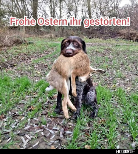 Frohe Ostern ihr gestörten!.. - Lustige Bilder | DEBESTE.de