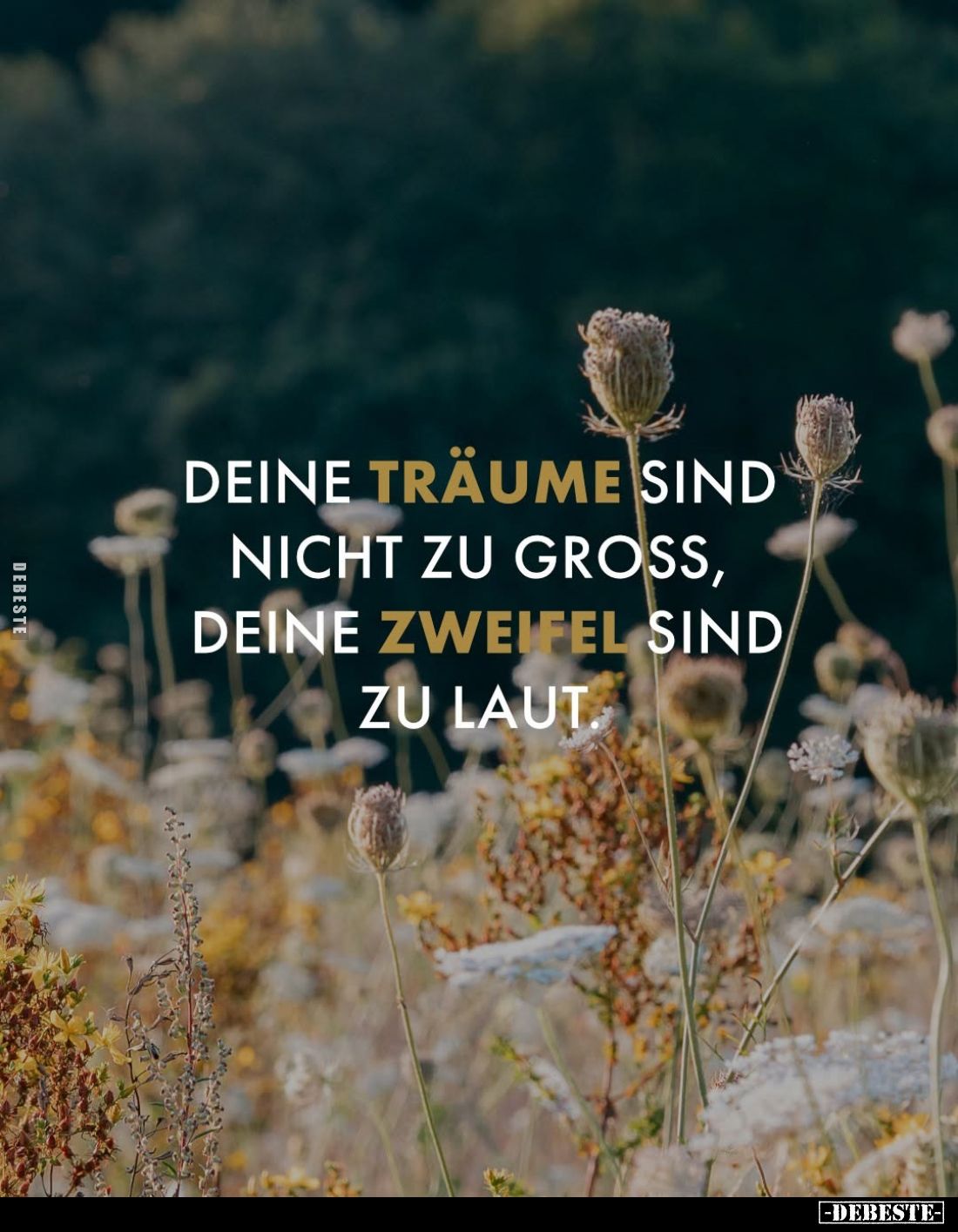 Deine Träume sind nicht zu gross, deine Zweifel sind zu laut.