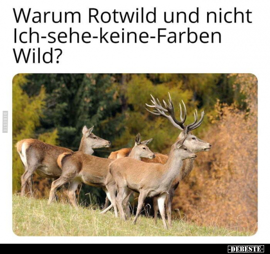 Warum Rotwild und nicht Ich-sehe-keine-Farben Wild?.. - Lustige Bilder | DEBESTE.de