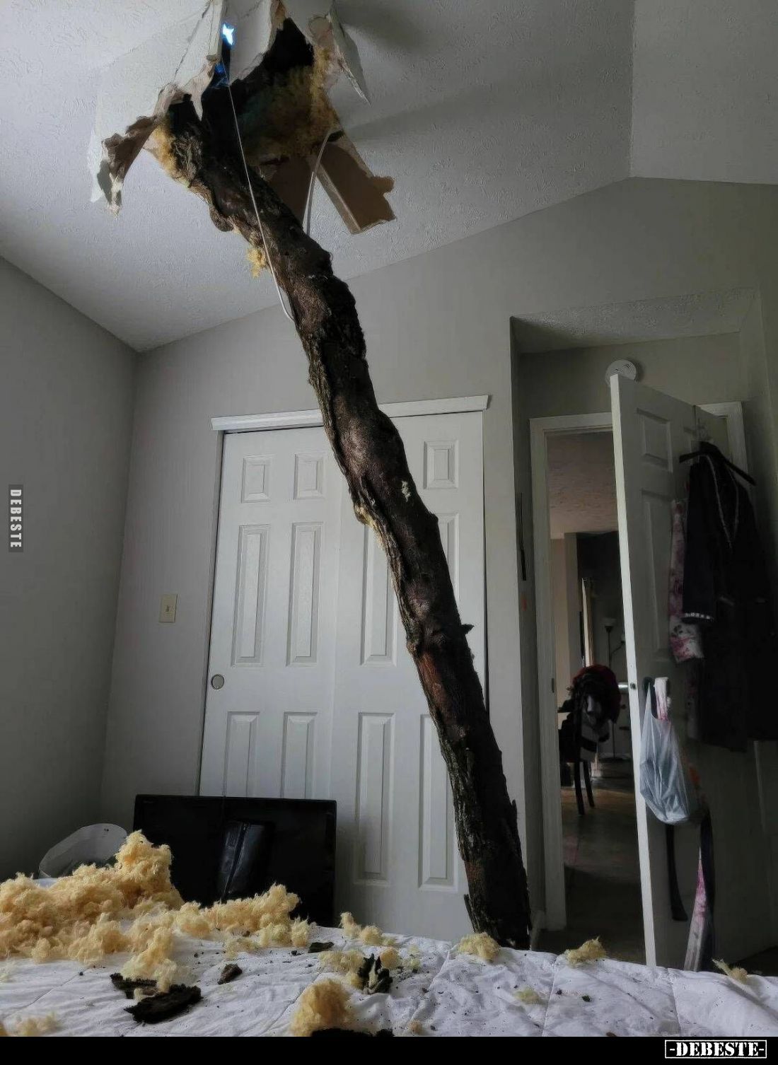  - Lustige Bilder | DEBESTE.de