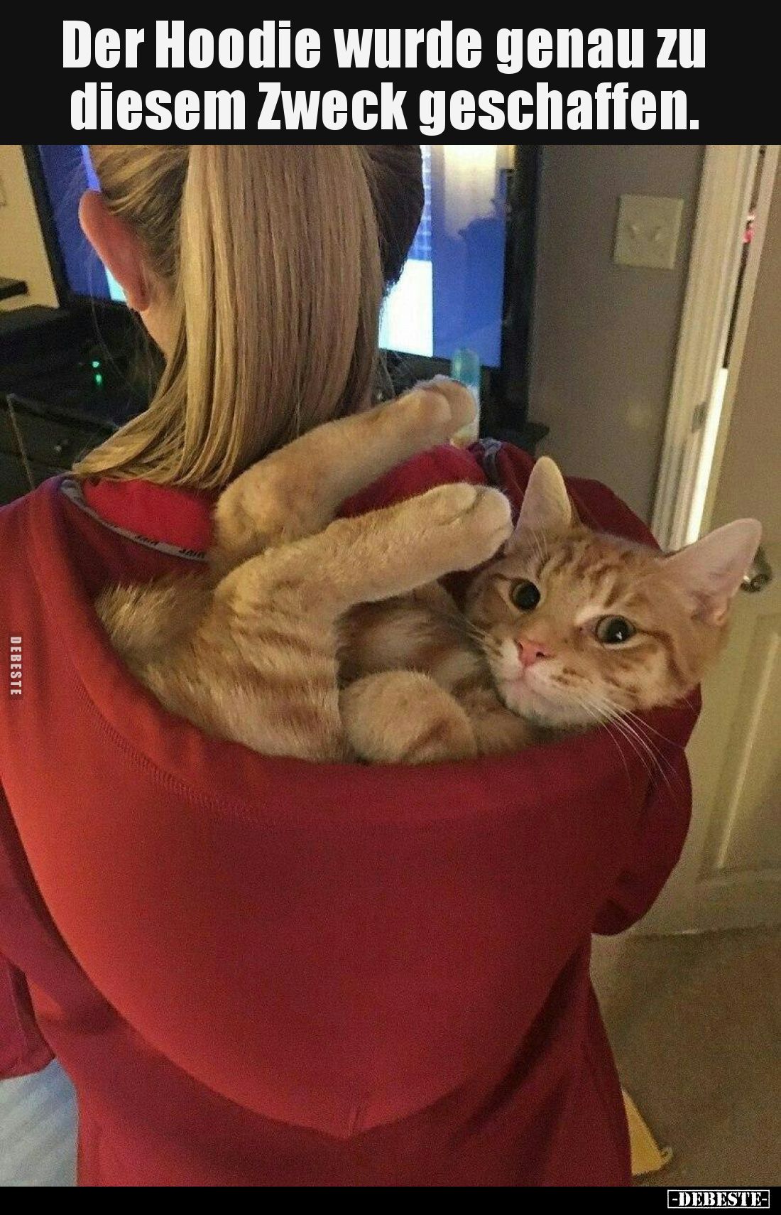 Der Hoodie wurde genau zu diesem Zweck geschaffen.