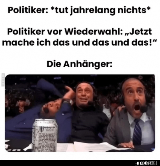 Politiker, Anhänger