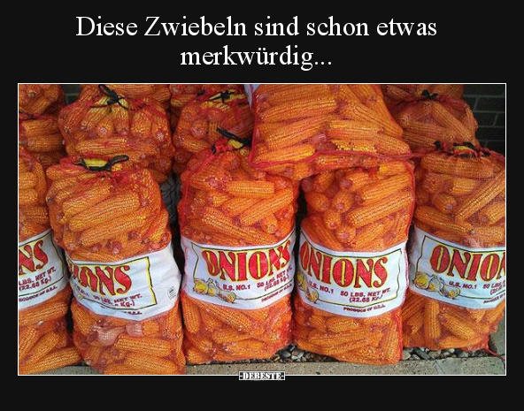 Diese Zwiebeln sind schon etwas merkwürdig... - Lustige Bilder | DEBESTE.de