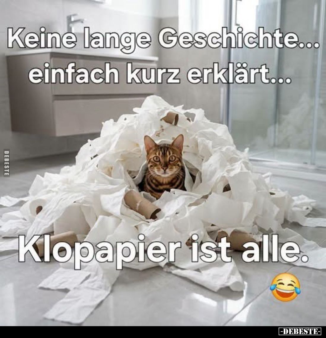Keine lange Geschichte... einfach kurz erklärt... Klopapier ist alle.