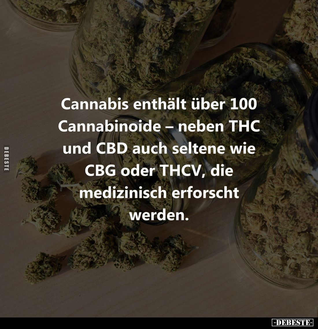 Cannabis enthält über 100 Cannabinoide – neben THC und CBD auch seltene wie CBG oder THCV, die medizinisch erforscht werden.