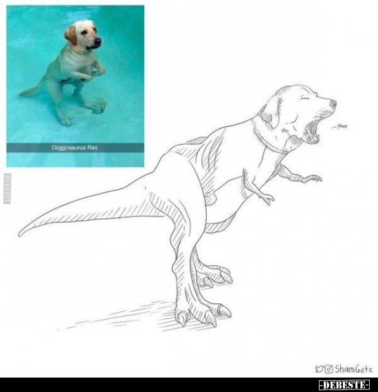  - Lustige Bilder | DEBESTE.de