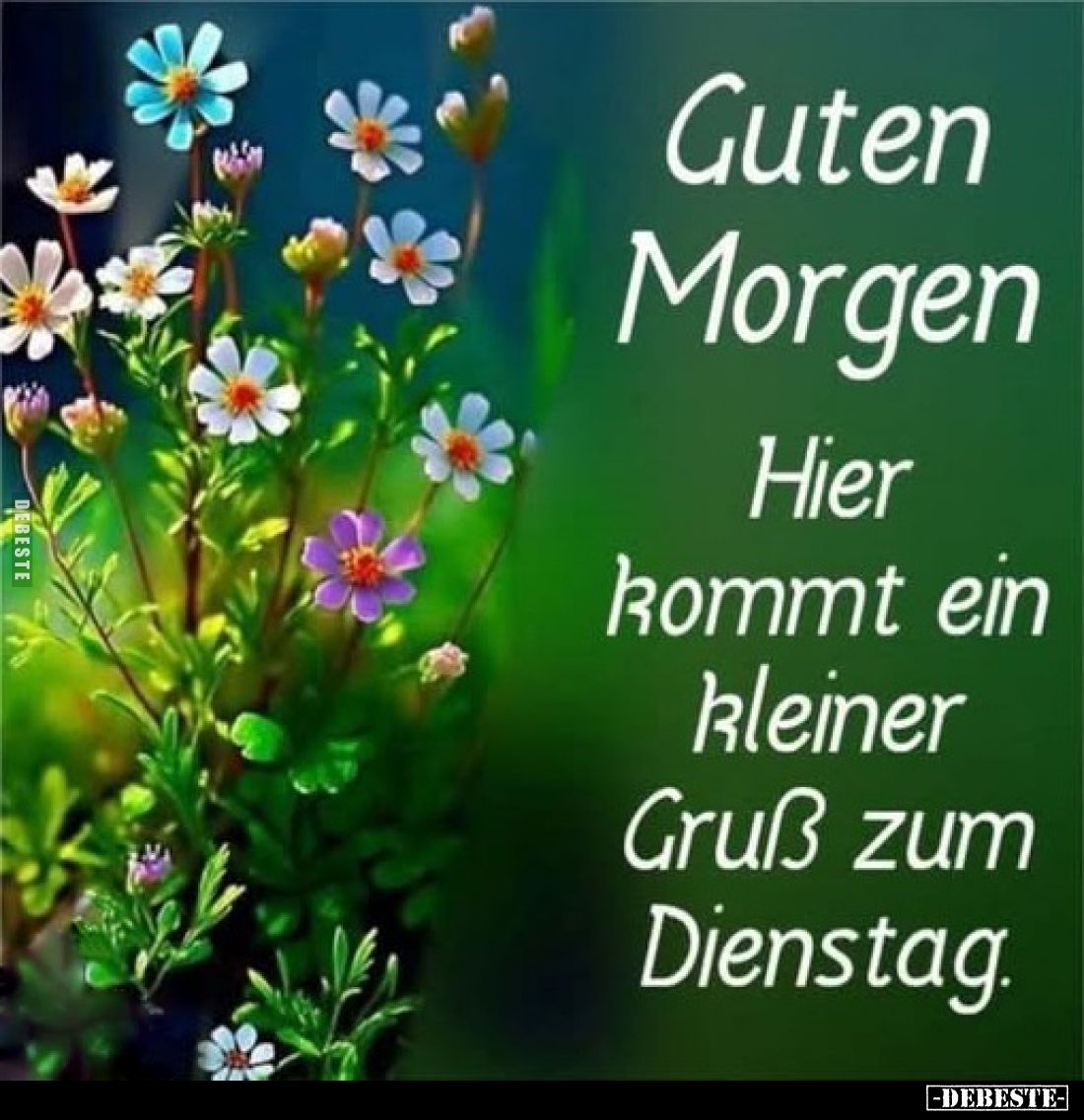 Guten Morgen
-
Hier kommt ein kleiner Gruß zum Dienstag.