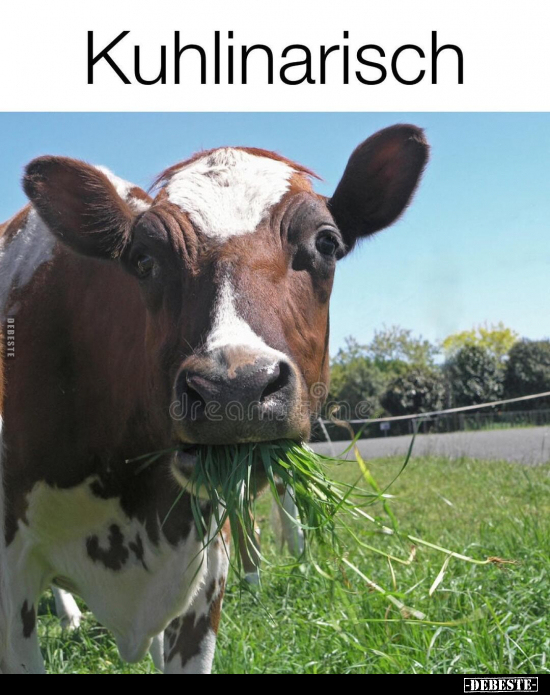 Kuhlinarisch