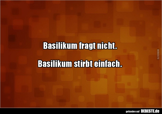 Basilikum fragt nicht.



Basilikum stirbt einfach.