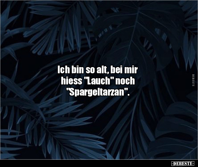 Ich bin so alt, bei mir hiess "Lauch" noch.. - Lustige Bilder | DEBESTE.de