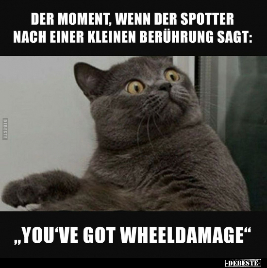 Der Moment, wenn der Spotter nach einer kleinen Berührung sagt.. - Lustige Bilder | DEBESTE.de