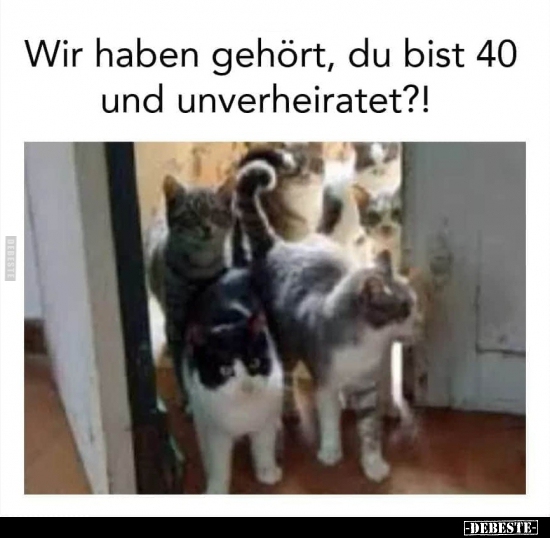 Wir haben gehört, du bist 40 und unverheiratet?!.. - Lustige Bilder | DEBESTE.de