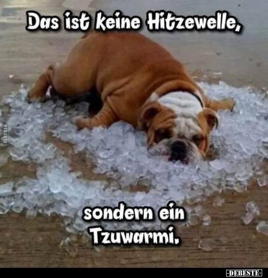 Das ist keine Hitzewelle, sondern ein Tzuwarmi... - Lustige Bilder | DEBESTE.de