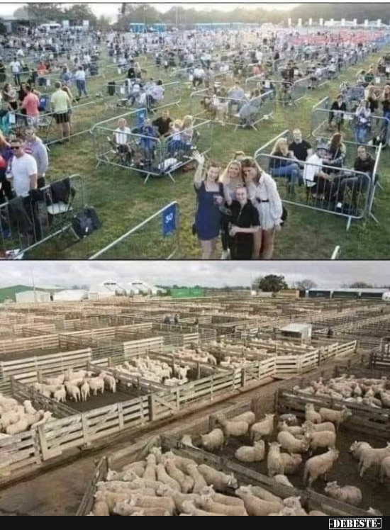  - Lustige Bilder | DEBESTE.de