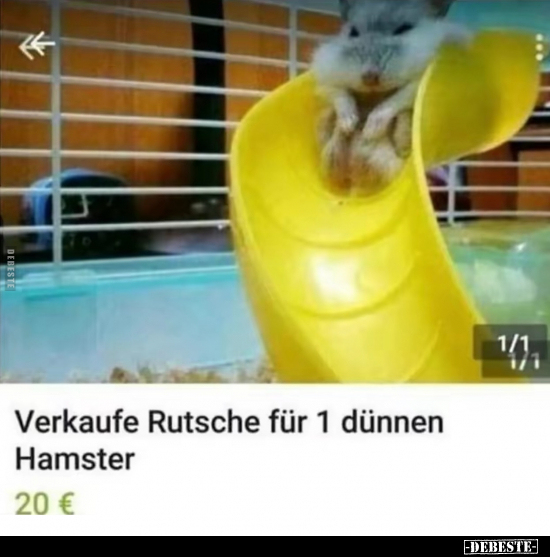 Verkaufe Rutsche für 1 dünnen Hamster.. - Lustige Bilder | DEBESTE.de