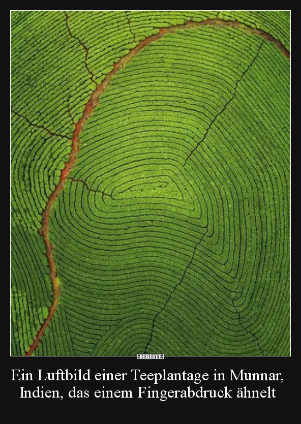 Ein Luftbild einer Teeplantage in Munnar, Indien, das.. - Lustige Bilder | DEBESTE.de