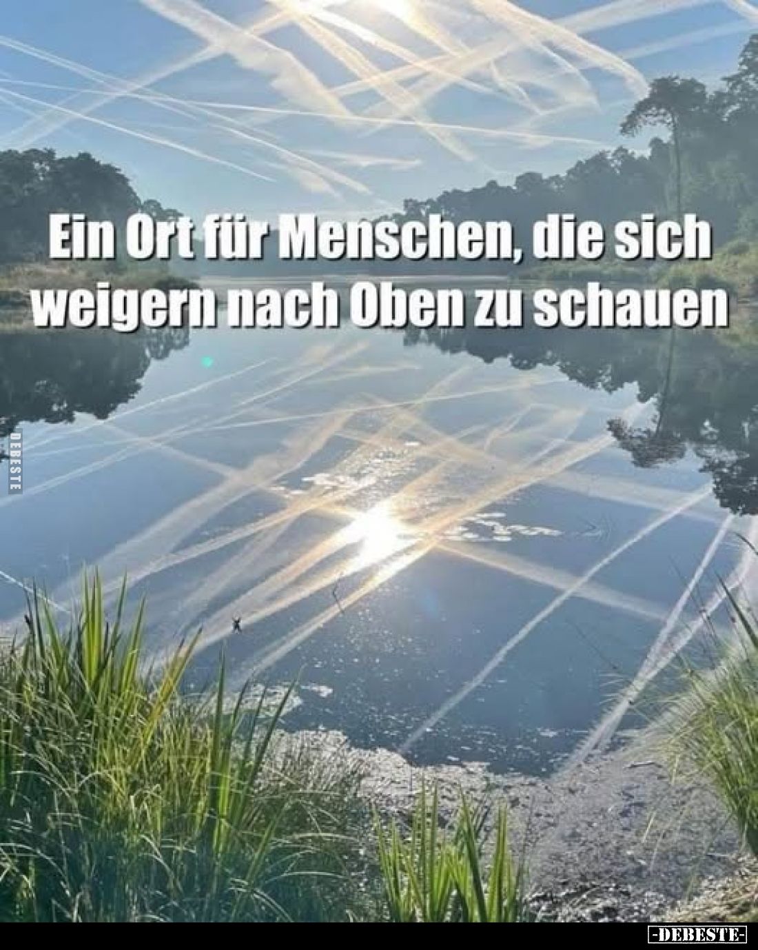 Ein Ort für Menschen, die sich weigern nach Oben zu schauen.