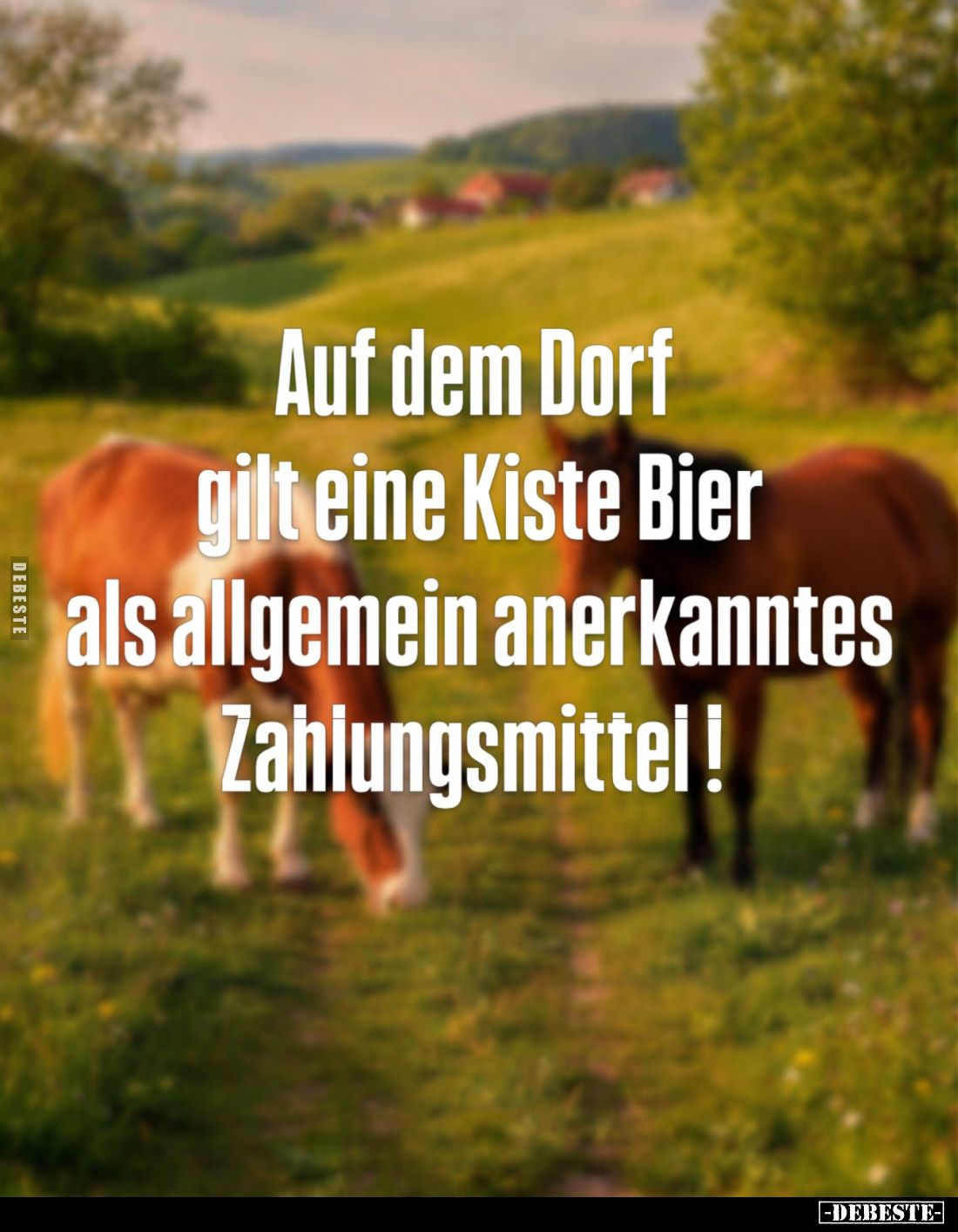 Auf dem Dorf gilt eine Kiste Bier als allgemein anerkanntes Zahlungsmittel!