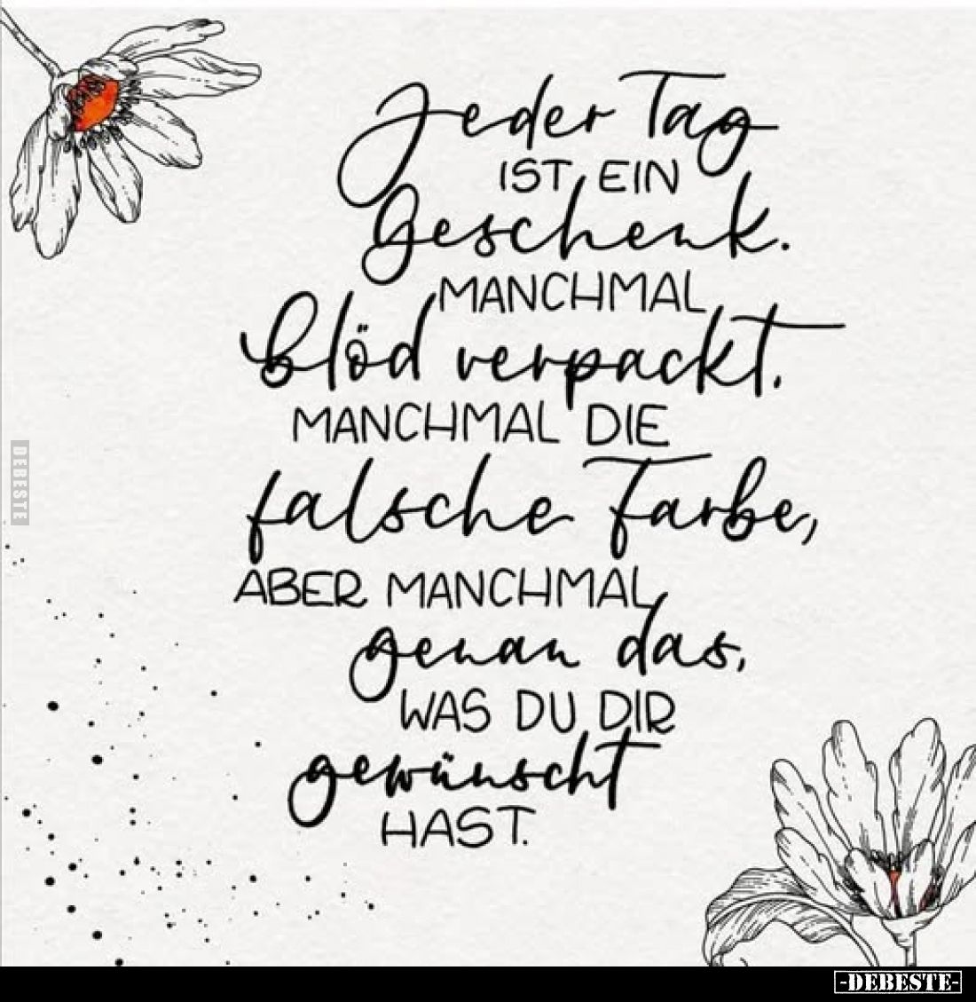Jeder Tag ist ein Geschenk. Manchmal blöd verpackt. Manchmal die falsche Farbe, aber manchmal genau das, was du dir gewünscht...