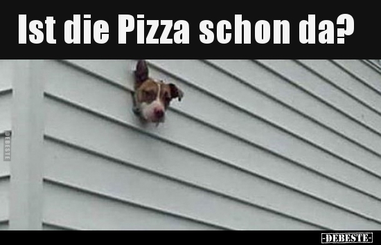 Ist die Pizza schon da?..